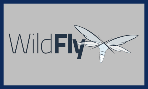 lodo wildfly