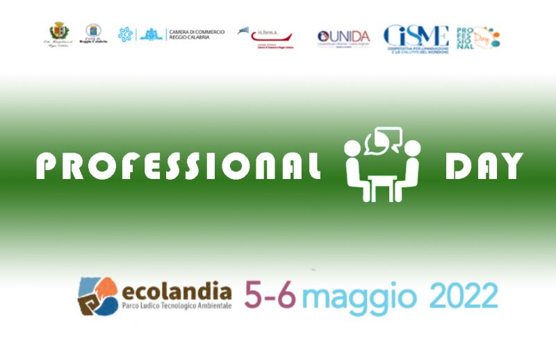 professional days (1)